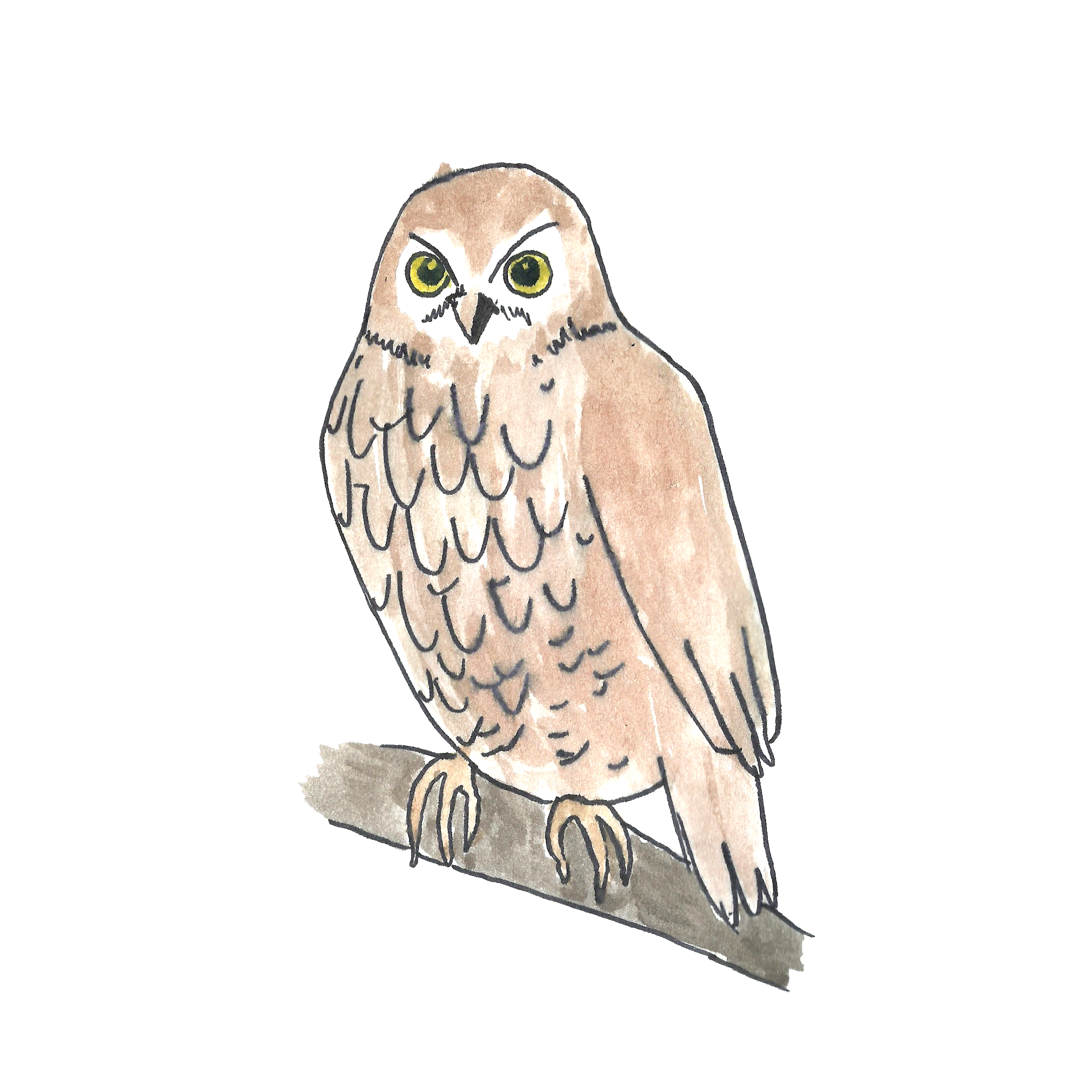 Team logo - Ruru