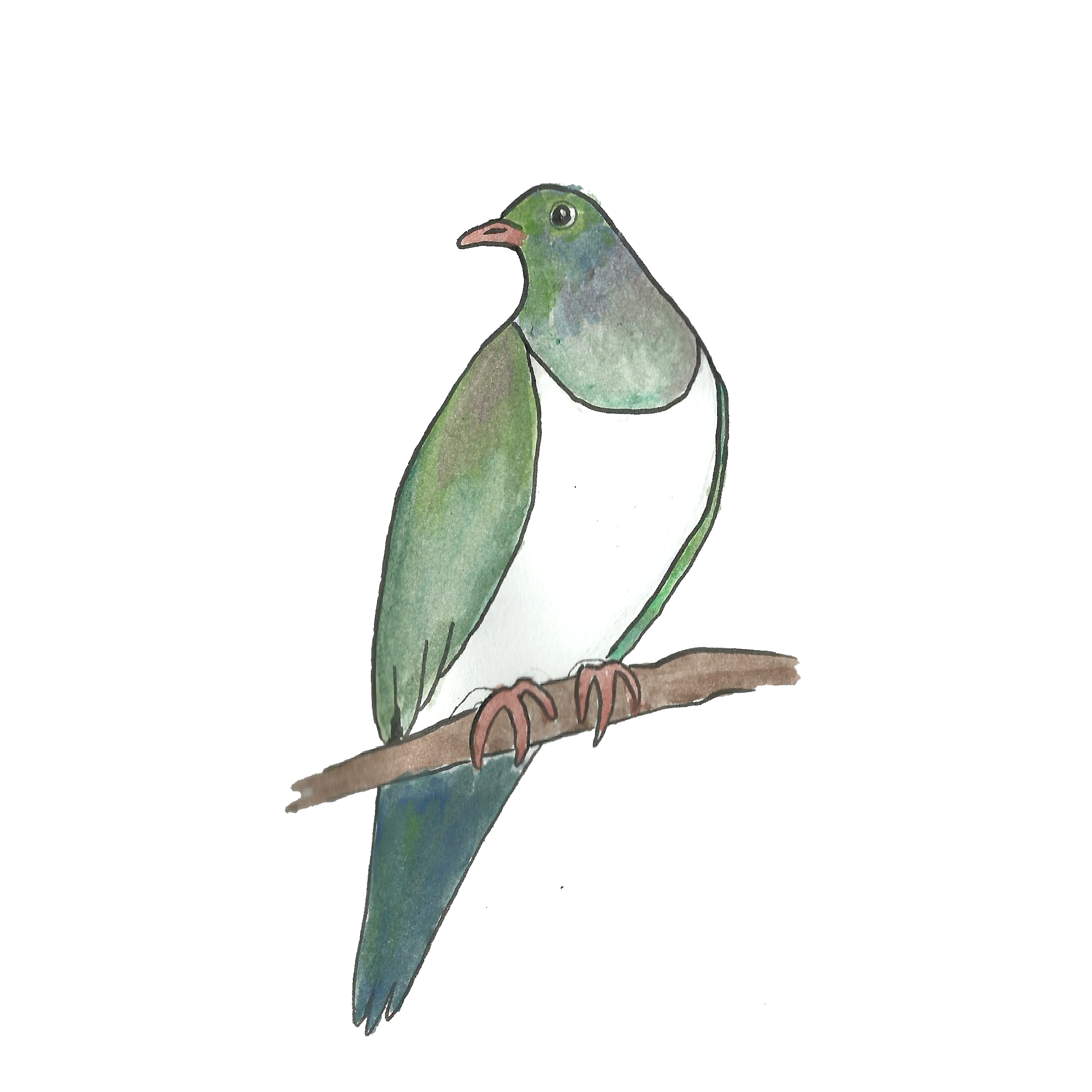 Team logo - Kererū 